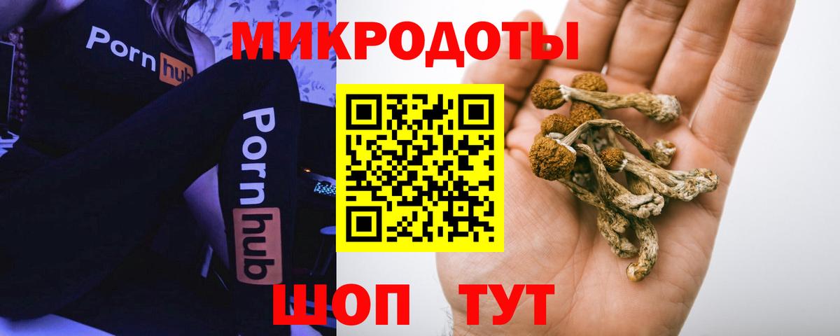 Галлюциногенные грибы ЛСД  Псилоцибиновые грибы Psilocybe  Кингисепп  Вход с VPN 