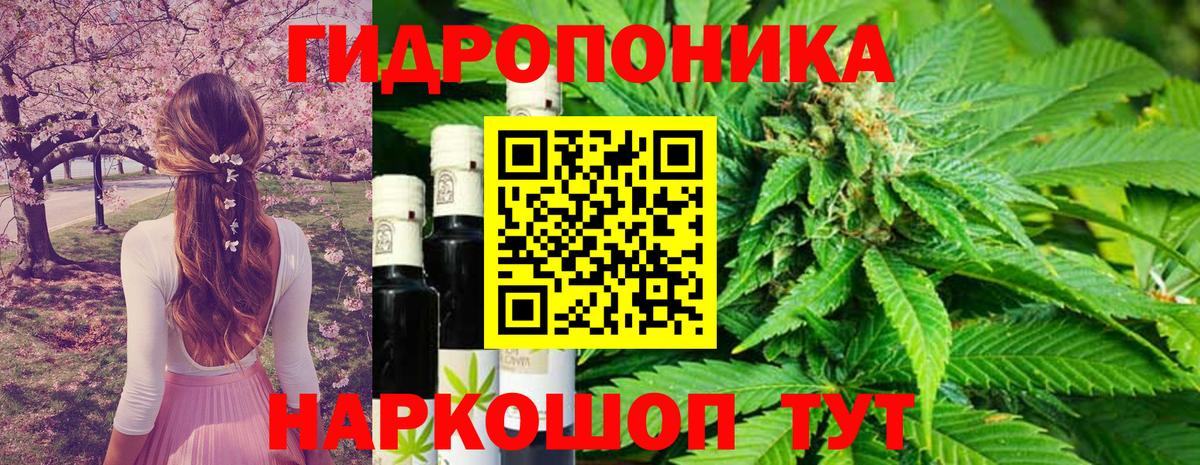 Марихуана THC 21%  Вход с VPN  Конопля MAZAR  Бошки марихуана Bruce Banner  Конопля Ganja  Кингисепп 